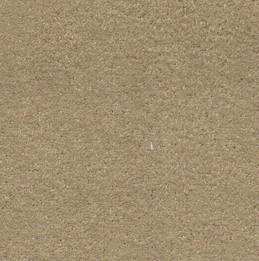 Geneva Suede